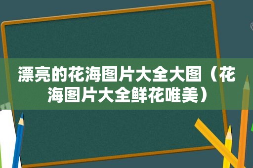 漂亮的花海图片大全大图（花海图片大全鲜花唯美）