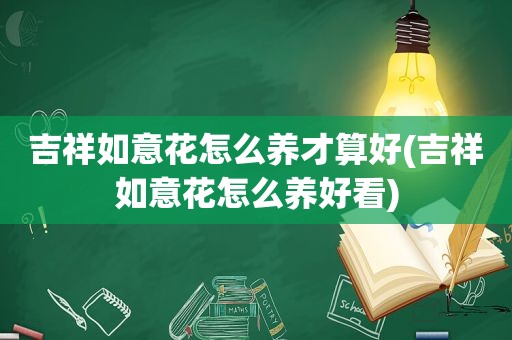 吉祥如意花怎么养才算好(吉祥如意花怎么养好看)
