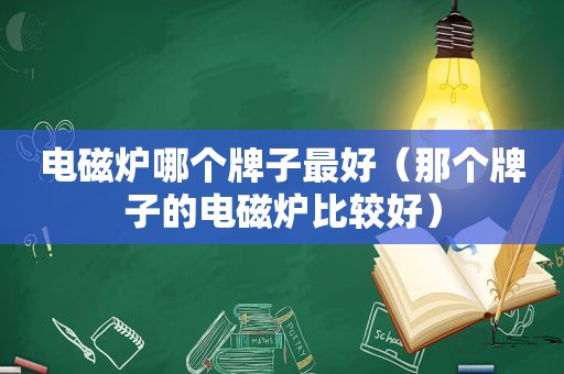 电磁炉哪个牌子最好（那个牌子的电磁炉比较好）