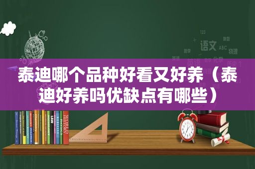 泰迪哪个品种好看又好养（泰迪好养吗优缺点有哪些）