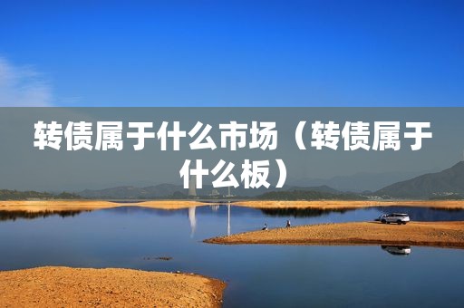 转债属于什么市场（转债属于什么板）