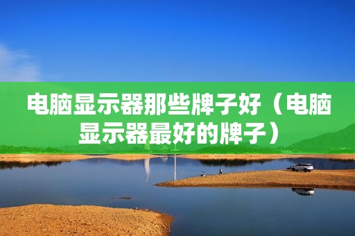 电脑显示器那些牌子好（电脑显示器最好的牌子）