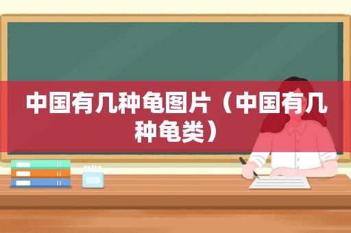 中国有几种龟图片（中国有几种龟类）