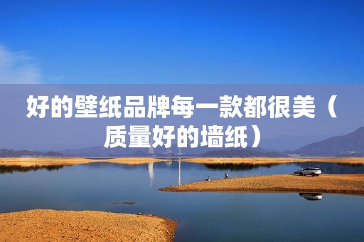 好的壁纸品牌每一款都很美（质量好的墙纸）