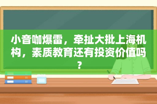 小音咖爆雷，牵扯大批上海机构，素质教育还有投资价值吗？
