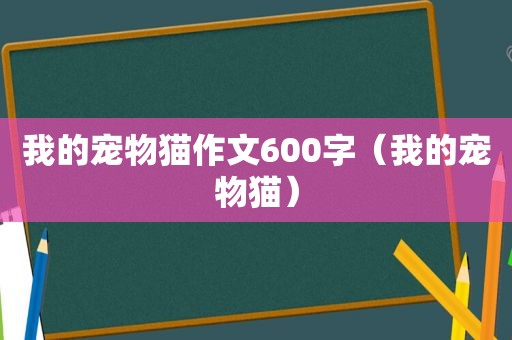 我的宠物猫作文600字（我的宠物猫）