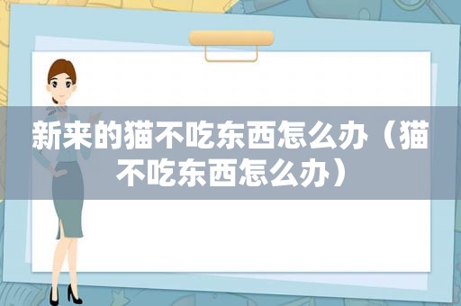 新来的猫不吃东西怎么办（猫不吃东西怎么办）