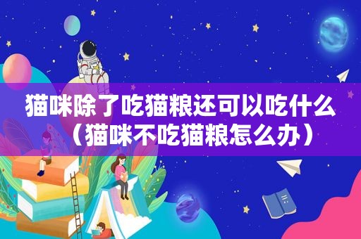 猫咪除了吃猫粮还可以吃什么（猫咪不吃猫粮怎么办）