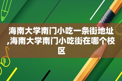 海南大学南门小吃一条街地址,海南大学南门小吃街在哪个校区