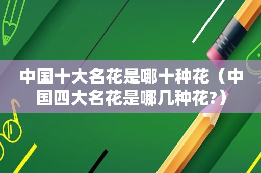 中国十大名花是哪十种花（中国四大名花是哪几种花?）