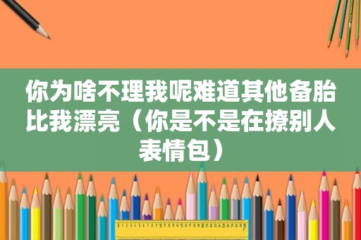 你为啥不理我呢难道其他备胎比我漂亮（你是不是在撩别人表情包）