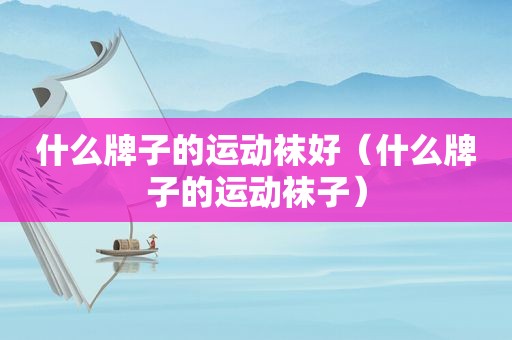 什么牌子的运动袜好（什么牌子的运动袜子）