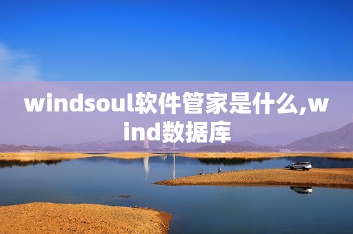 windsoul软件管家是什么,wind数据库