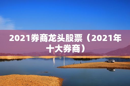2021券商龙头股票（2021年十大券商）