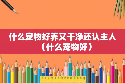 什么宠物好养又干净还认主人（什么宠物好）