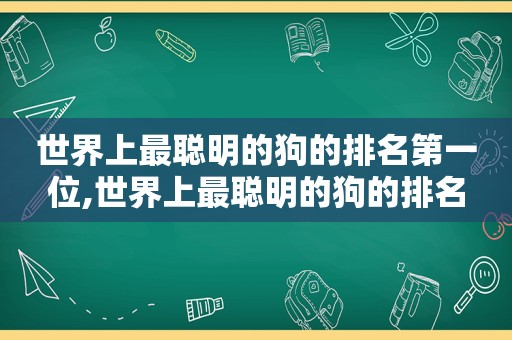 世界上最聪明的狗的排名第一位,世界上最聪明的狗的排名