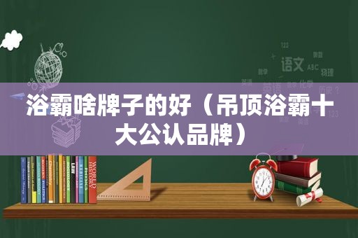 浴霸啥牌子的好（吊顶浴霸十大公认品牌）