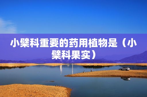 小檗科重要的药用植物是（小檗科果实）