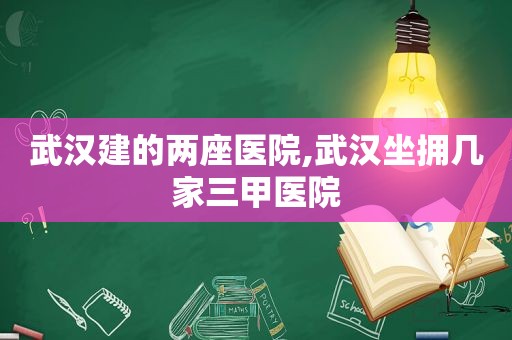 武汉建的两座医院,武汉坐拥几家三甲医院