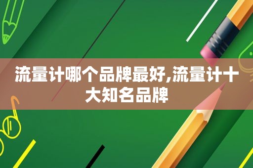流量计哪个品牌最好,流量计十大知名品牌
