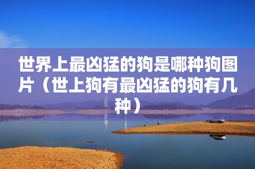 世界上最凶猛的狗是哪种狗图片（世上狗有最凶猛的狗有几种）