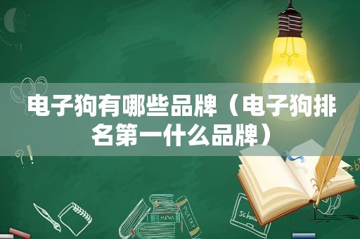 电子狗有哪些品牌（电子狗排名第一什么品牌）