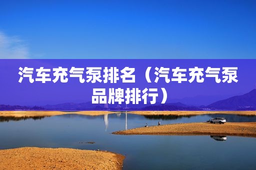 汽车充气泵排名（汽车充气泵品牌排行）