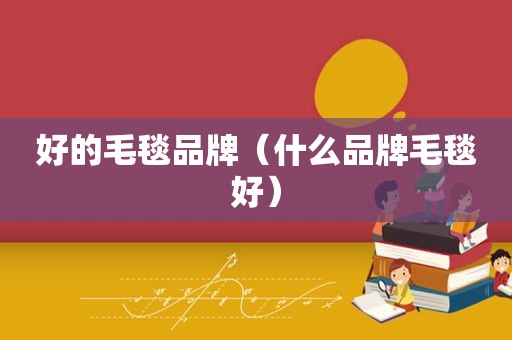 好的毛毯品牌（什么品牌毛毯好）