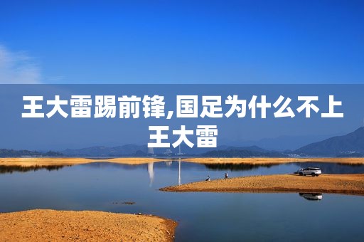 王大雷踢前锋,国足为什么不上王大雷