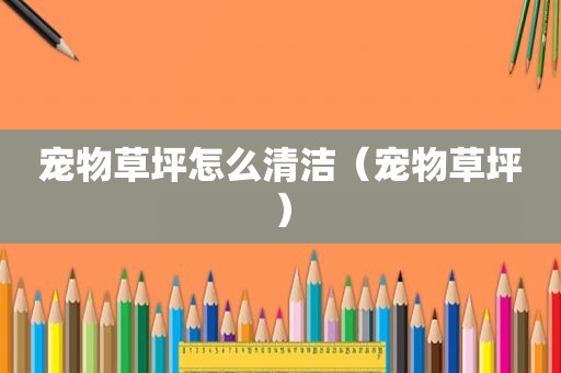 宠物草坪怎么清洁（宠物草坪）