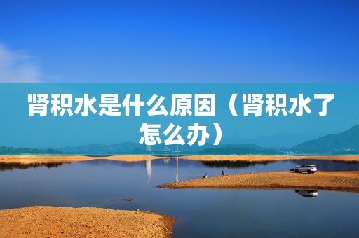 肾积水是什么原因（肾积水了怎么办）