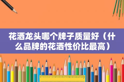 花洒龙头哪个牌子质量好（什么品牌的花洒性价比最高）
