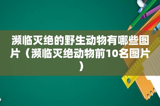 濒临灭绝的野生动物有哪些图片（濒临灭绝动物前10名图片）