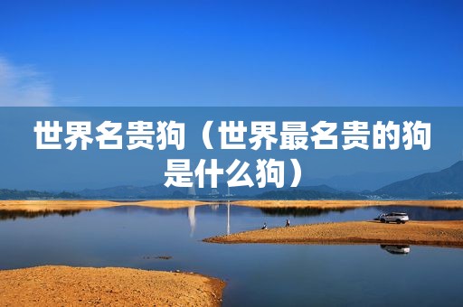 世界名贵狗（世界最名贵的狗是什么狗）