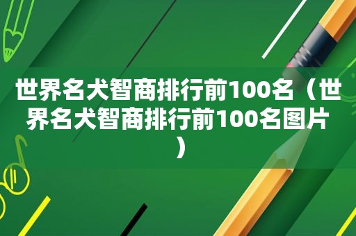 世界名犬智商排行前100名（世界名犬智商排行前100名图片）