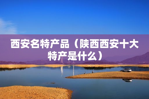 西安名特产品（陕西西安十大特产是什么）