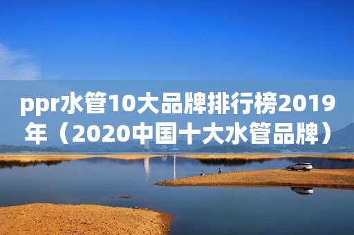 ppr水管10大品牌排行榜2019年（2020中国十大水管品牌）