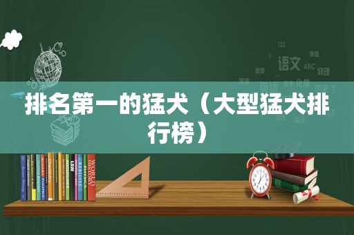 排名第一的猛犬（大型猛犬排行榜）