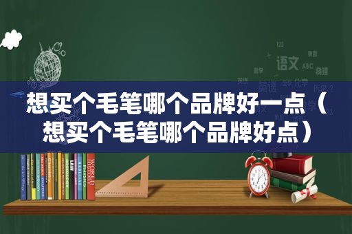 想买个毛笔哪个品牌好一点（想买个毛笔哪个品牌好点）