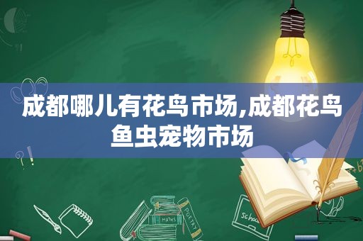 成都哪儿有花鸟市场,成都花鸟鱼虫宠物市场