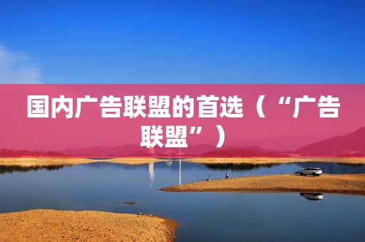 国内广告联盟的首选（“广告联盟”）