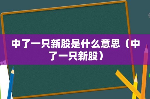 中了一只新股是什么意思（中了一只新股）