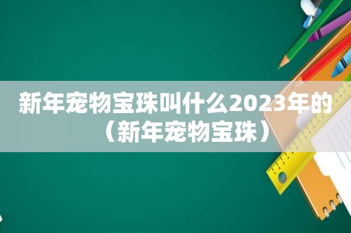 新年宠物宝珠叫什么2023年的（新年宠物宝珠）