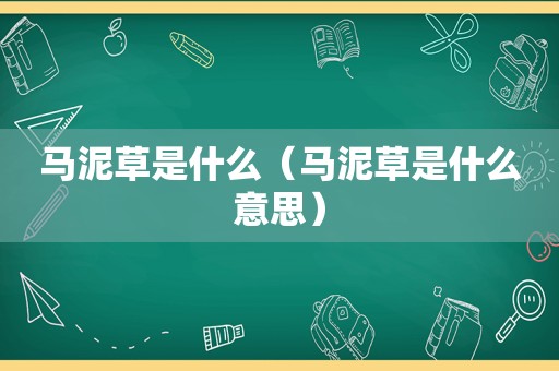 马泥草是什么（马泥草是什么意思）
