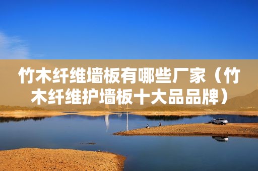 竹木纤维墙板有哪些厂家（竹木纤维护墙板十大品品牌）