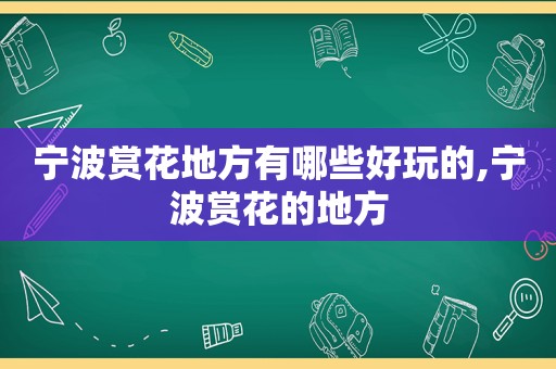宁波赏花地方有哪些好玩的,宁波赏花的地方