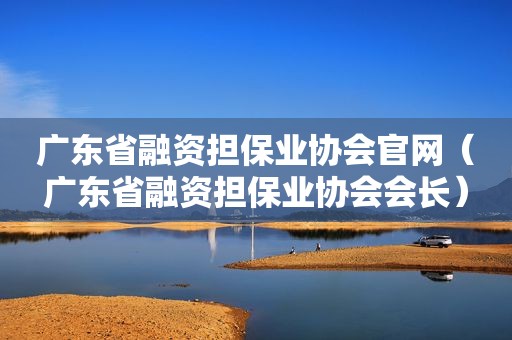 广东省融资担保业协会官网（广东省融资担保业协会会长）