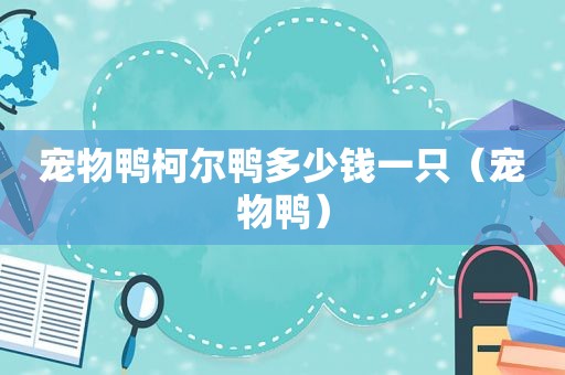 宠物鸭柯尔鸭多少钱一只（宠物鸭）
