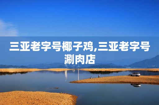 三亚老字号椰子鸡,三亚老字号涮肉店
