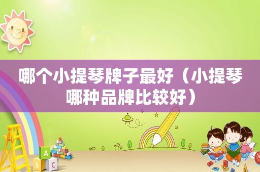 哪个小提琴牌子最好（小提琴哪种品牌比较好）